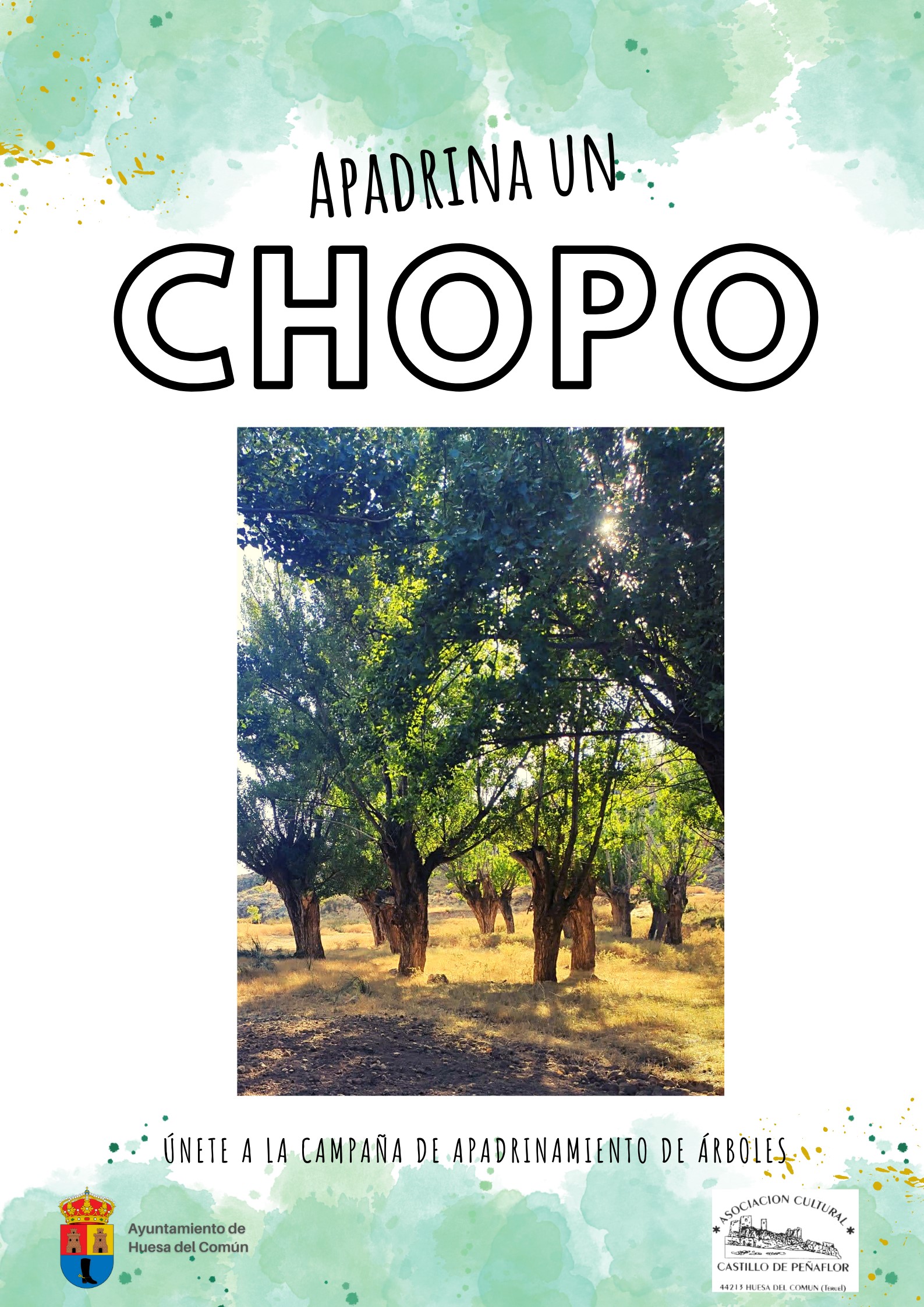 Nueva Web de nuestra campaña “Apadrina un Chopo”