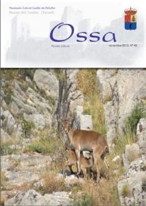 Ossa Nº5