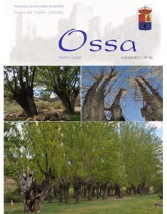 Ossa Nº5