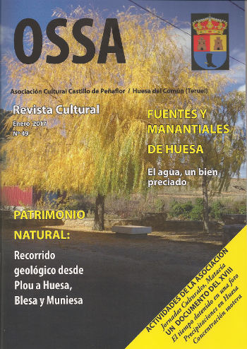 Nº 49 (enero 2017)