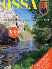 Nº 60 (Junio 2022)