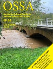 Nº 65 (diciembre 2024)