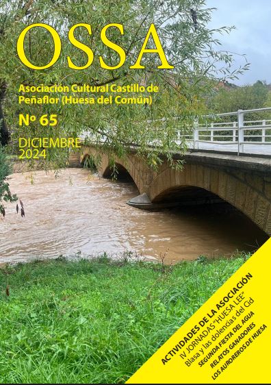 Nº 65 (diciembre 2024)