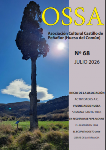 Ossa Nº5